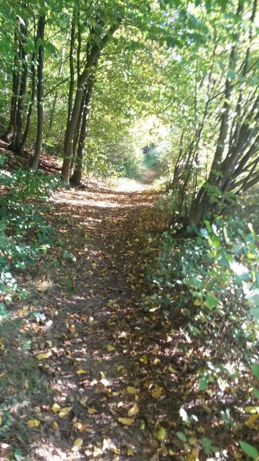 Am Zeitenweg